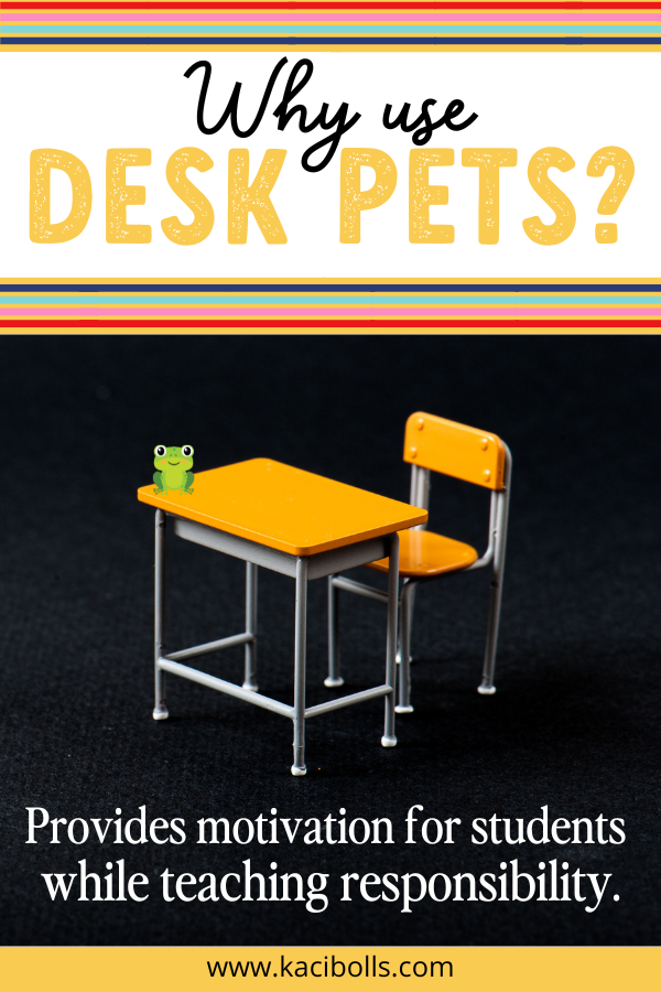 responsibility-for-students Orange school desk sitting against a black background, with a frog desk pet perched on desk