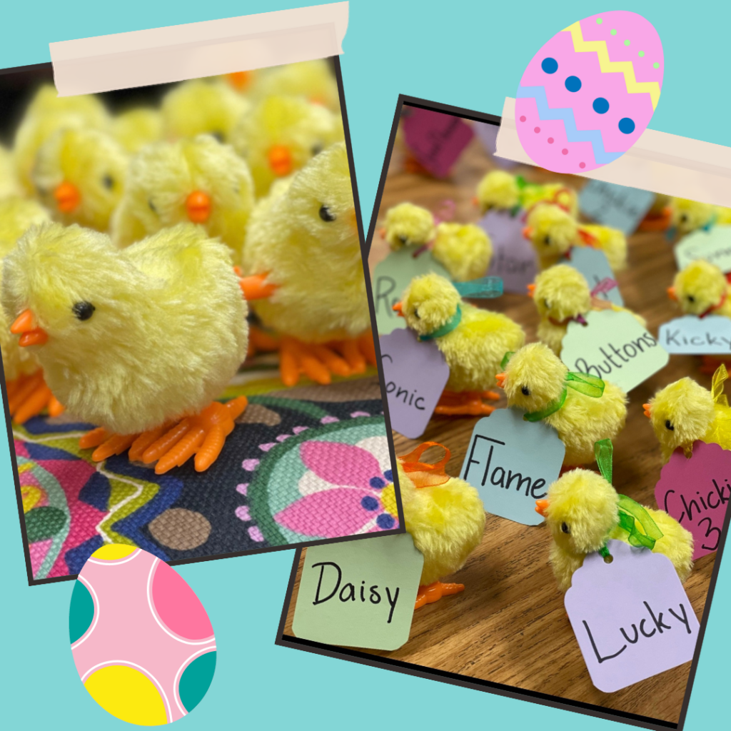 wind-up baby chicks with nametags