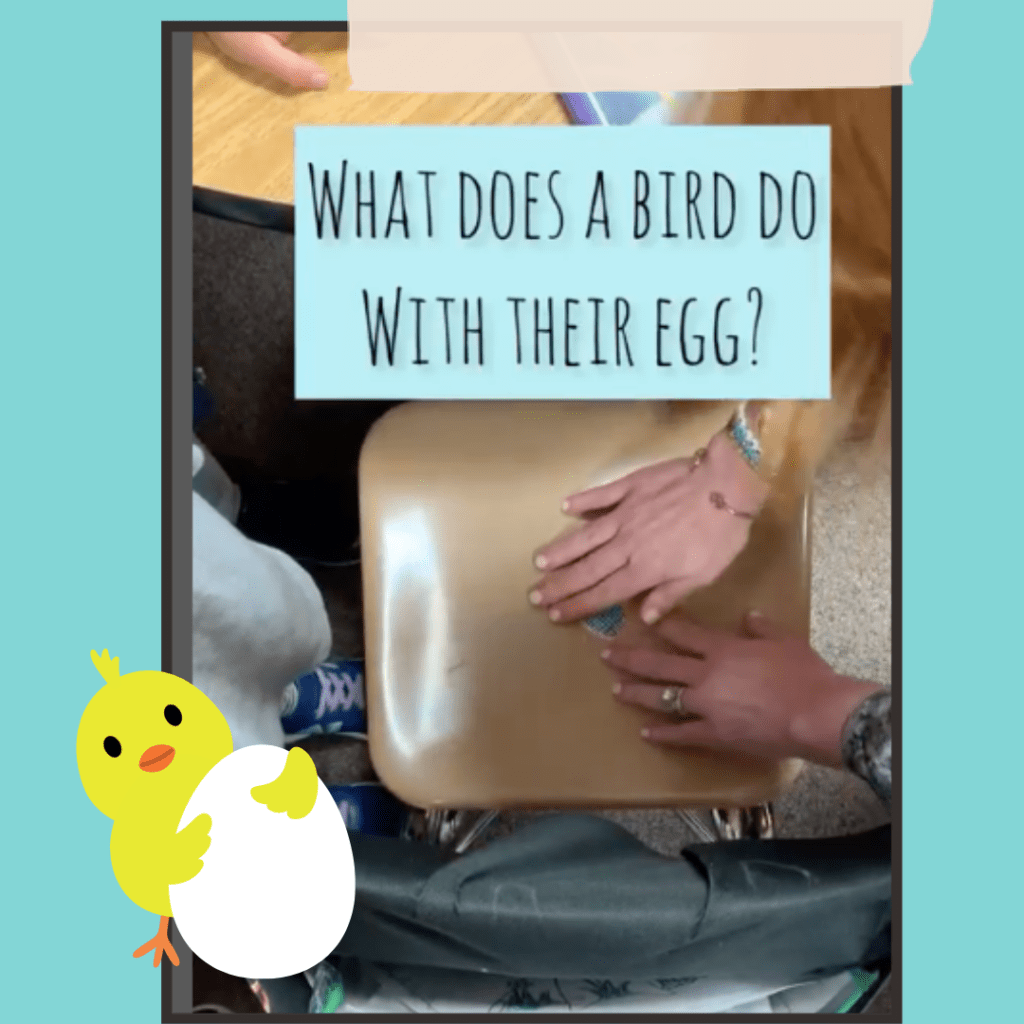 teacher showing how to place the paper egg in the student's chair